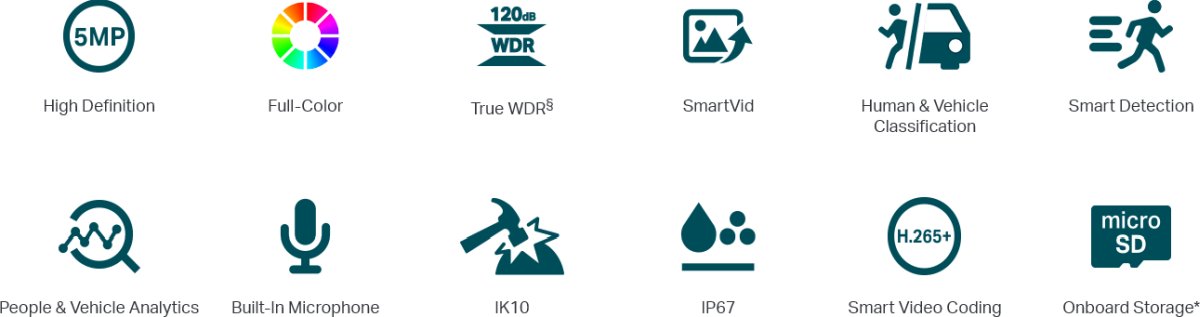 TP-Link VIGI C250(2.8mm)