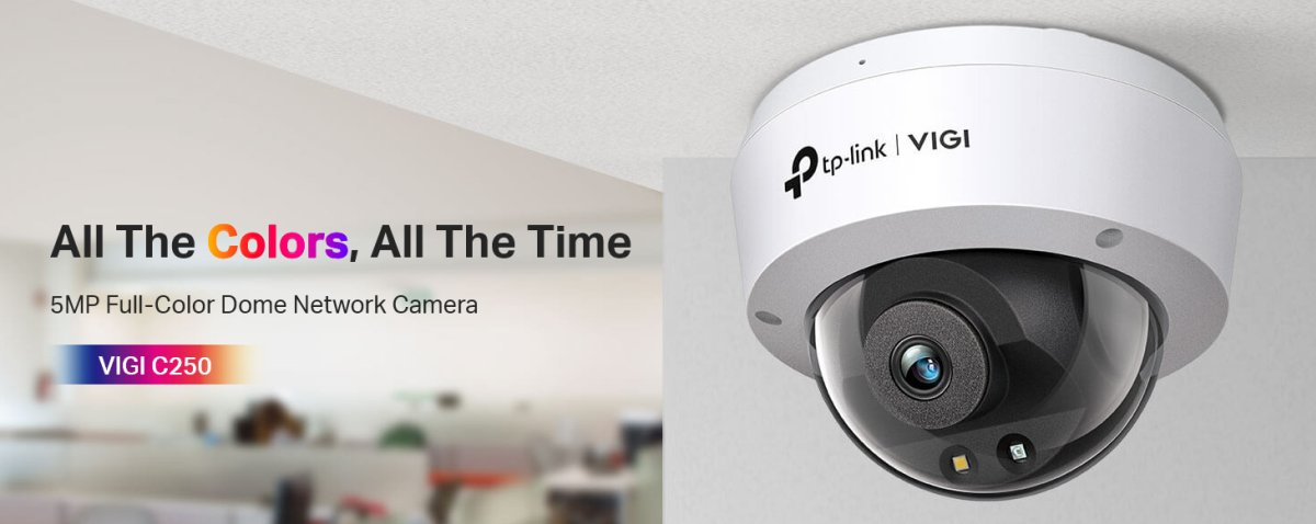 TP-Link VIGI C250(4mm)